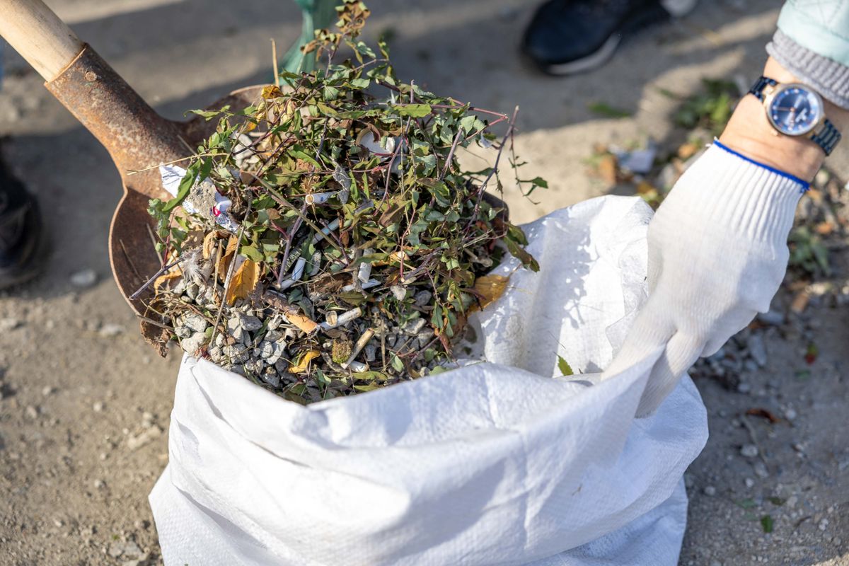 Worker bagging yard waste and weeds with a shovel during a residential yard cleanup